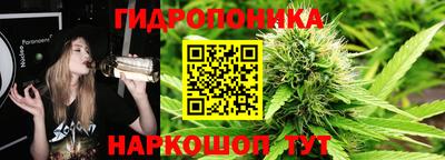 прущая мука Кандалакша