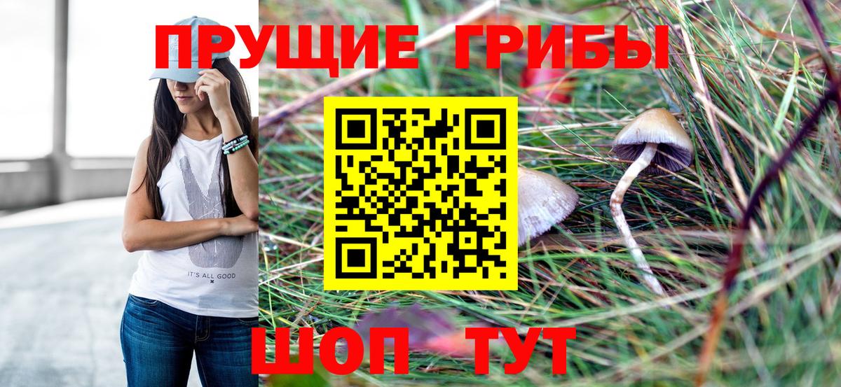 Балтийск  Псилоцибиновые грибы MAGIC MUSHROOMS  Вход с VPN 